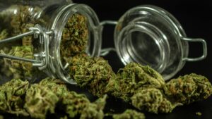 Craft Cannabis
