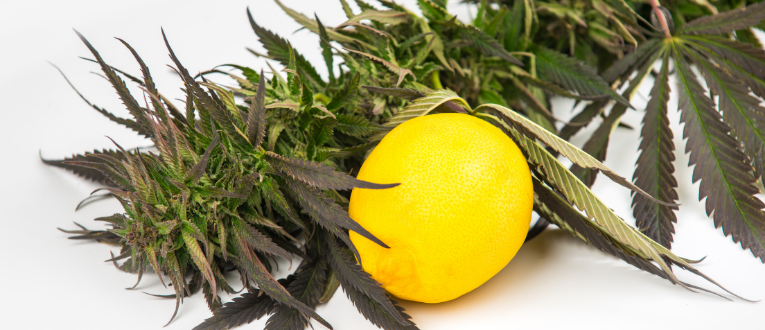 Terpenes