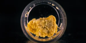 Cannabis Concentrates