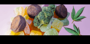 Cannabis Edibles